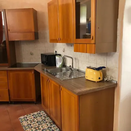 公寓 Luminosa E Accogliente Casa Centro Storico 罗马